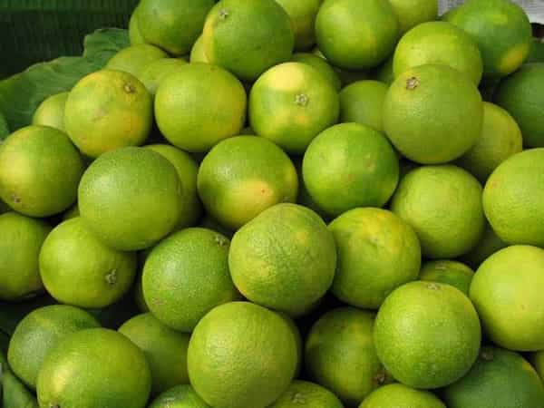 تصویر 2 از خرید لیمو ترش عمده + قیمت فروش استثنایی